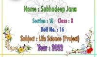 School Font Page Style #6  - Best
